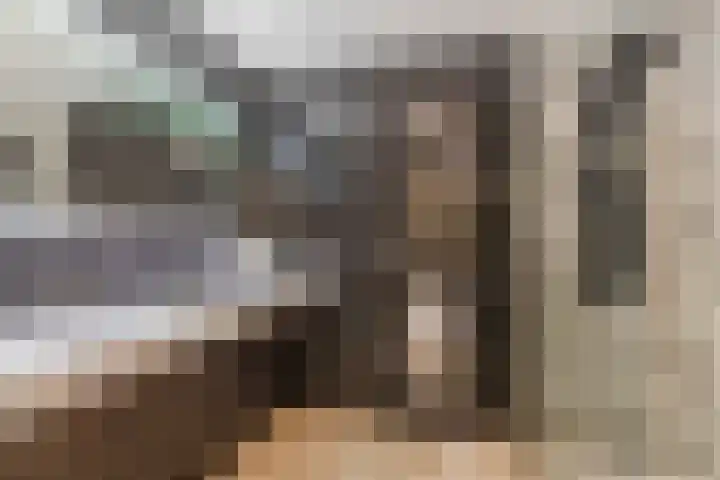 Vlaszak 7 Breda thumbnail 32