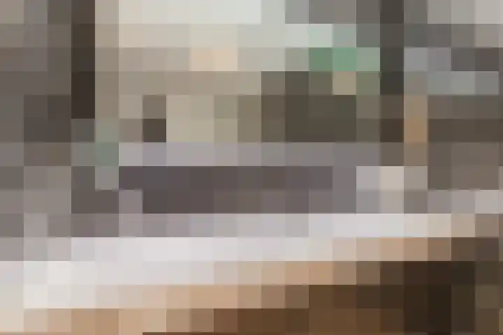 Vlaszak 7 Breda thumbnail 33