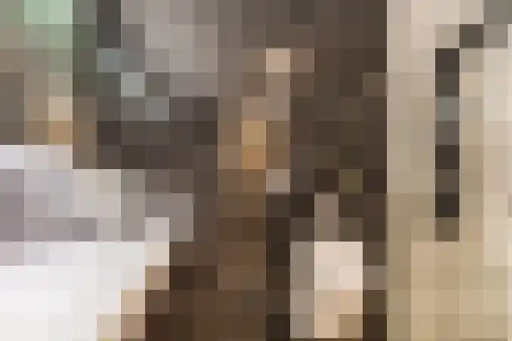Vlaszak 7 Breda thumbnail 34