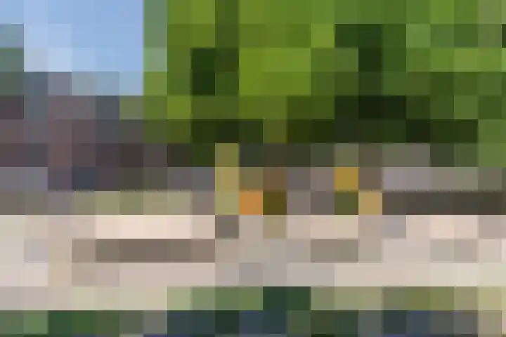 Vlaszak 7 Breda thumbnail 39