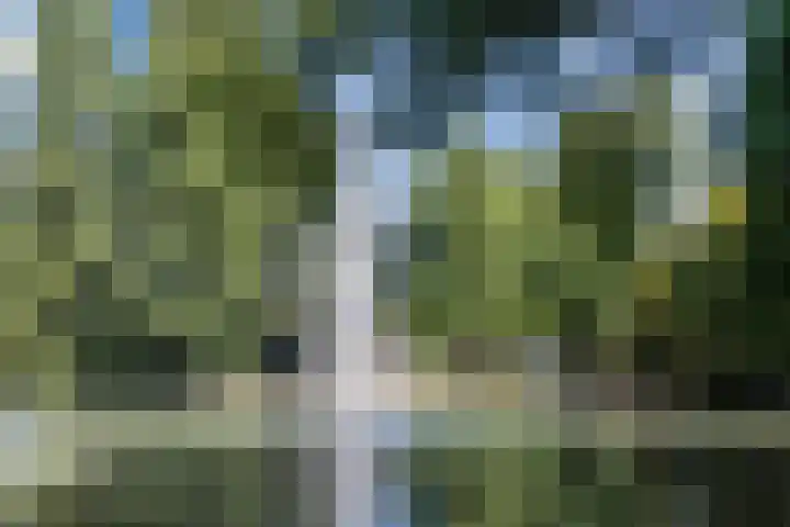 Vlaszak 7 Breda thumbnail 40