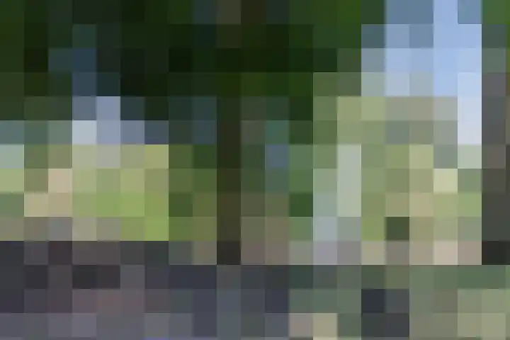 Vlaszak 7 Breda thumbnail 43