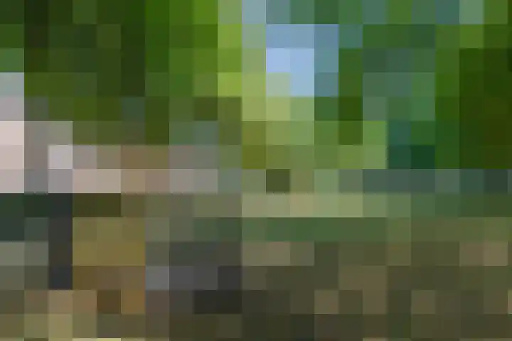 Vlaszak 7 Breda thumbnail 44