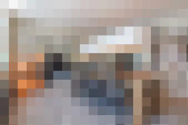 Vlaszak 7 Breda thumbnail 7