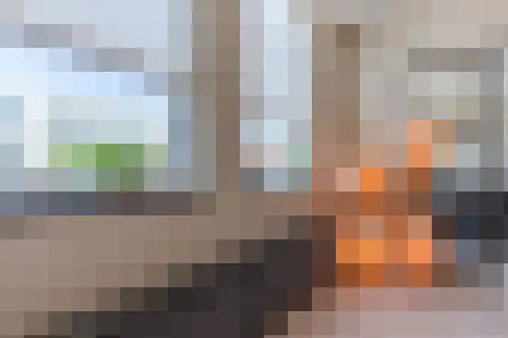 Vlaszak 7 Breda thumbnail 8