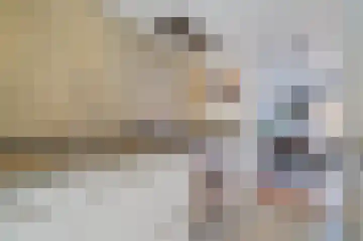 Vlechtdraadhof 16 Utrecht thumbnail 10