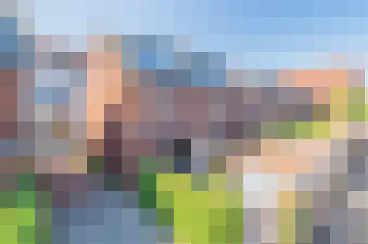 Vlechtdraadhof 16 Utrecht thumbnail 22