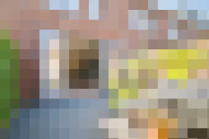 Vlechtdraadhof 16 Utrecht thumbnail 23