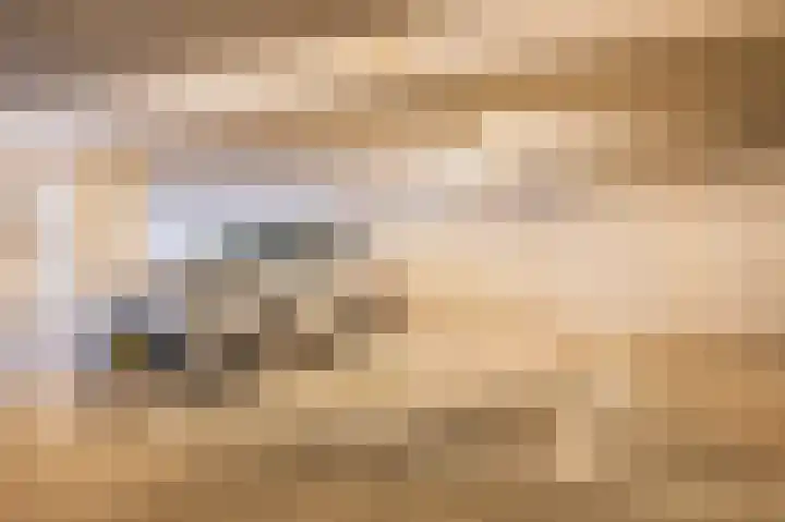 Vlechtdraadhof 16 Utrecht thumbnail 26