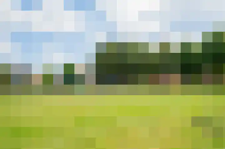 Vlechtdraadhof 16 Utrecht thumbnail 30