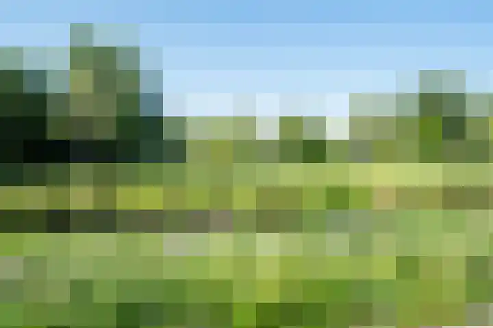 Vlechtdraadhof 16 Utrecht thumbnail 32