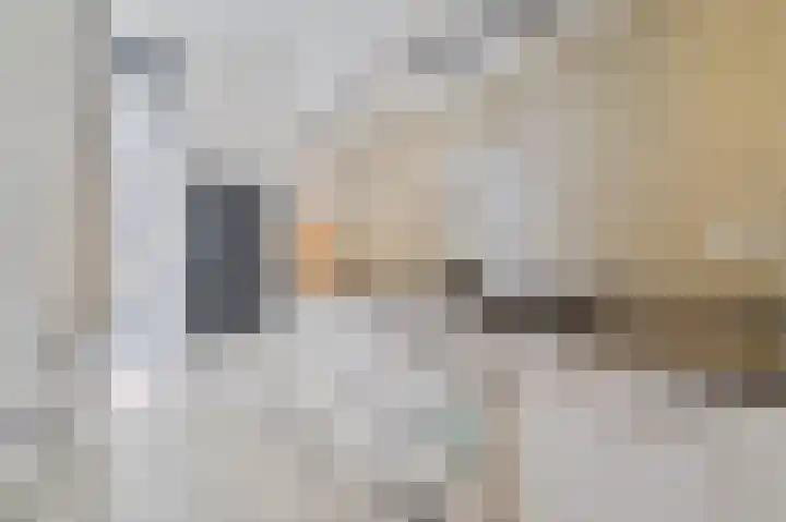 Vlechtdraadhof 16 Utrecht thumbnail 7