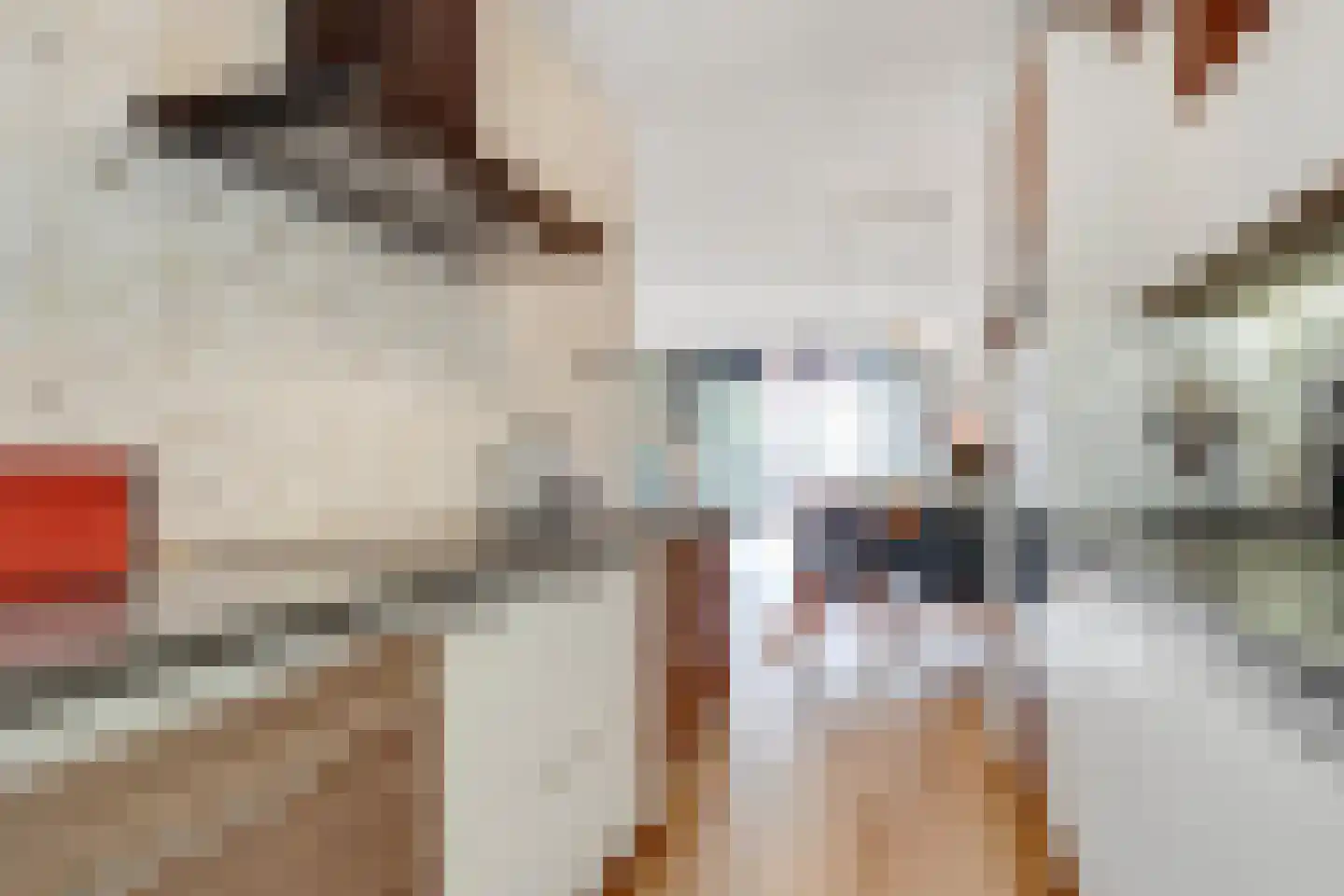 Vlechtdraadhof 32 Utrecht thumbnail 19