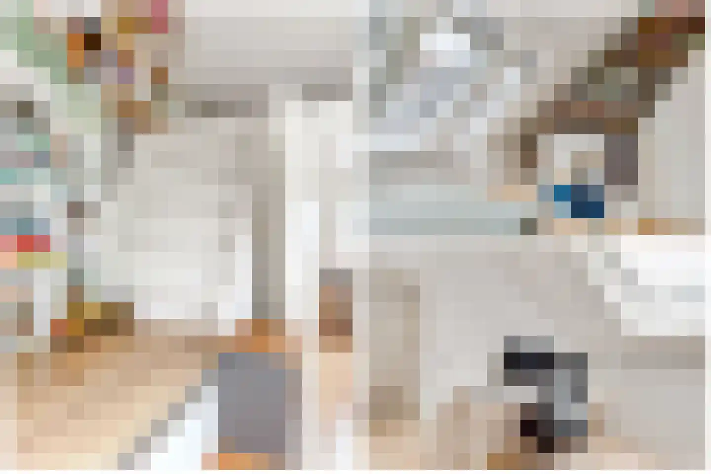 Vlechtdraadhof 32 Utrecht thumbnail 38