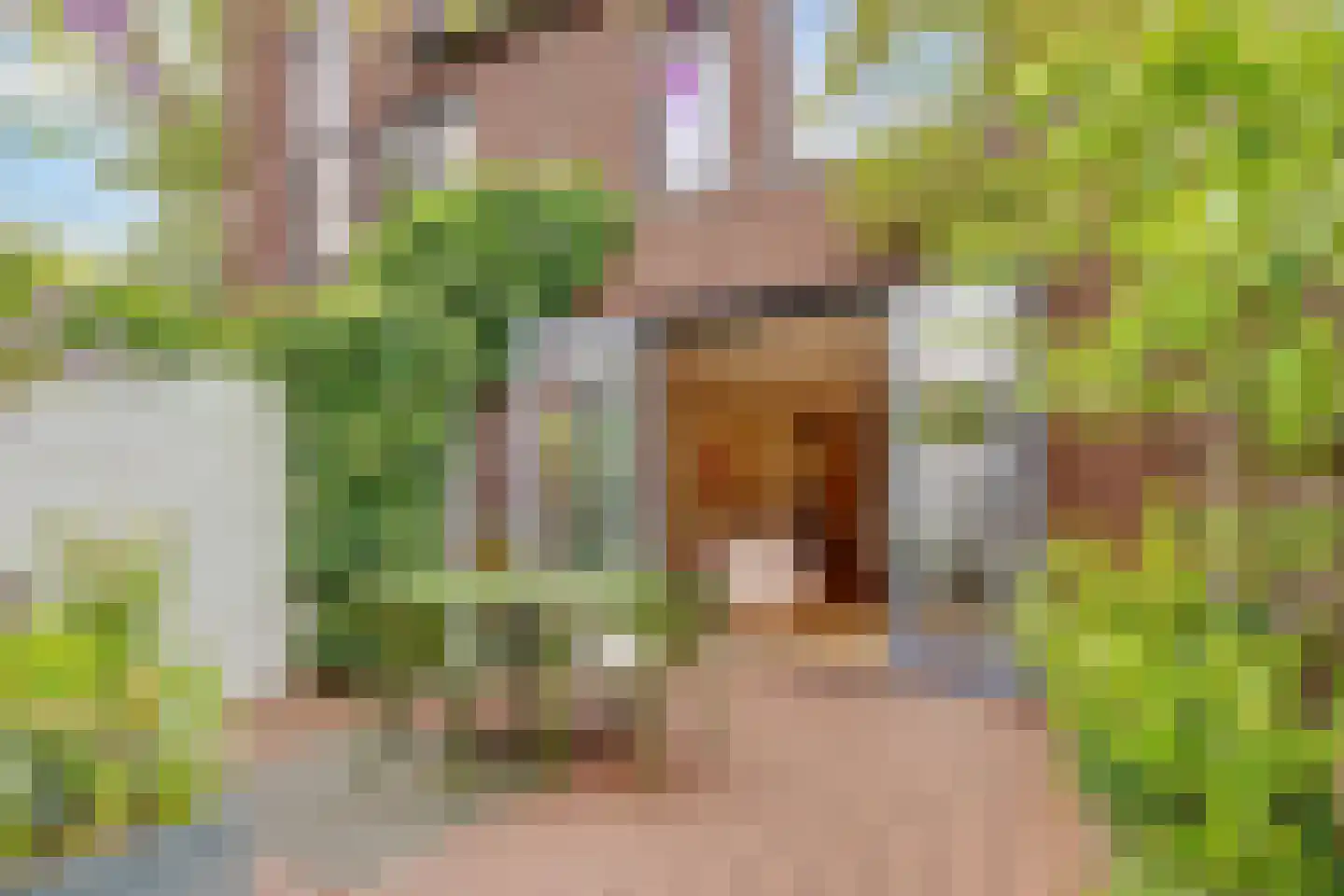 Vlechtdraadhof 32 Utrecht thumbnail 41