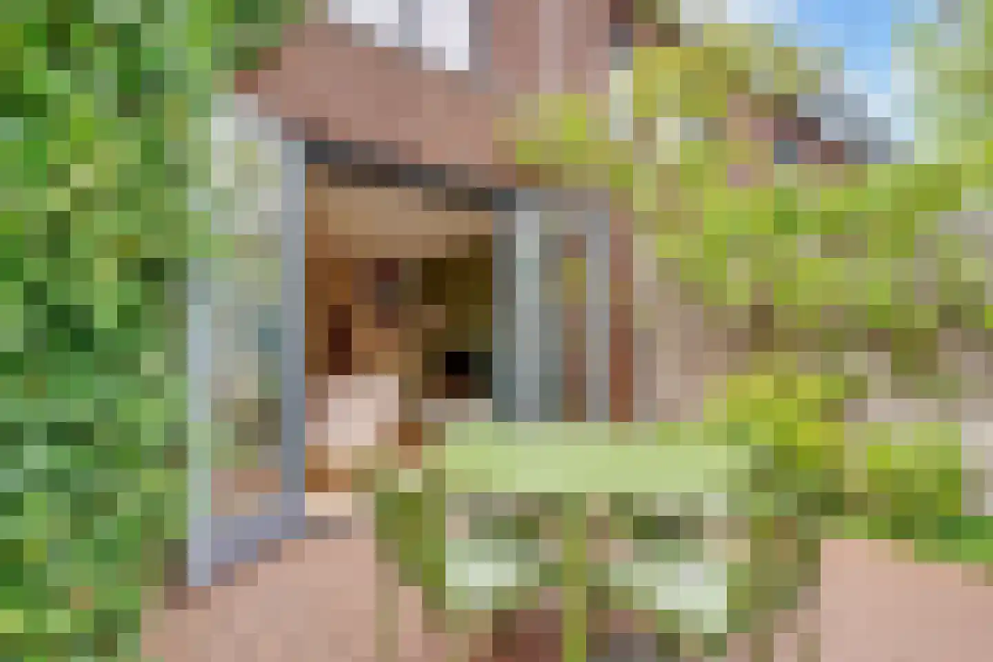 Vlechtdraadhof 32 Utrecht thumbnail 43