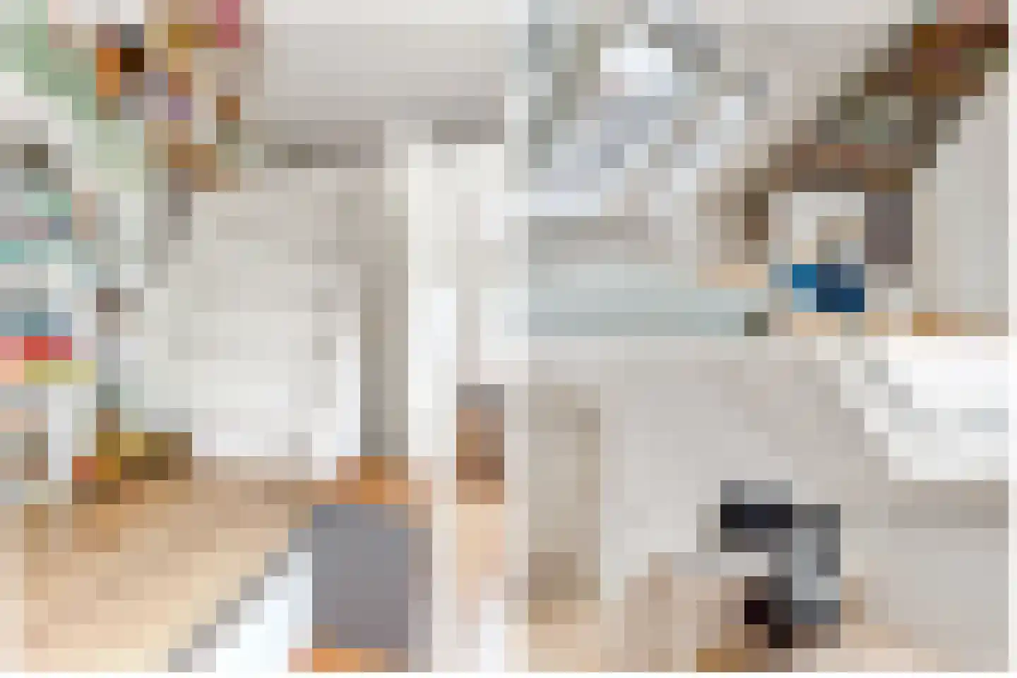 Vlechtdraadhof 32 Utrecht thumbnail 5
