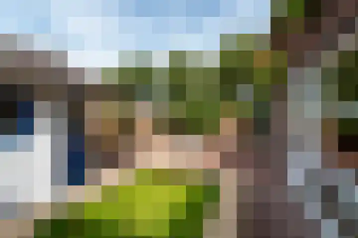 Vlechthout 14 Houten thumbnail 18