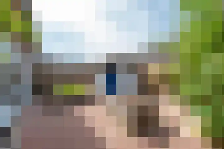 Vlechthout 14 Houten thumbnail 19