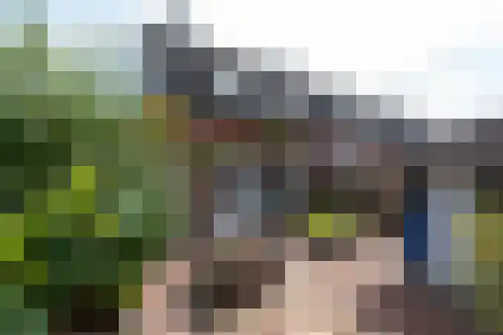 Vlechthout 14 Houten thumbnail 20