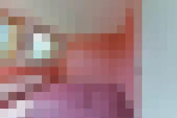 Vlechthout 14 Houten thumbnail 30