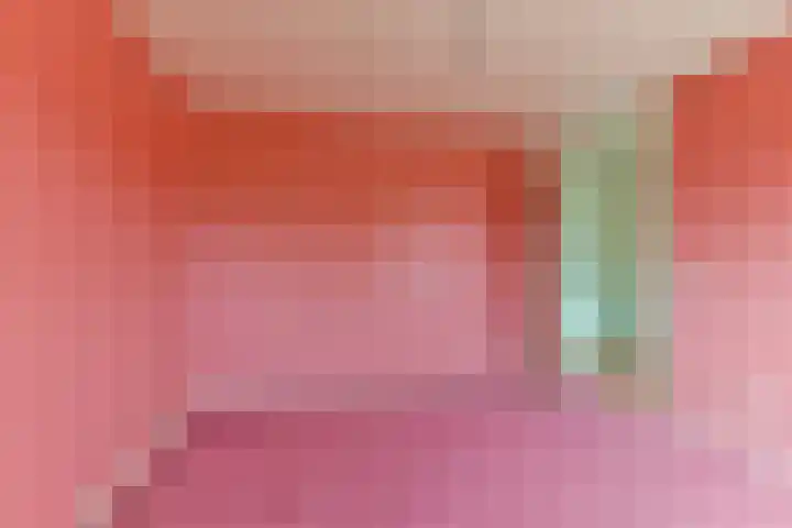 Vlechthout 14 Houten thumbnail 32
