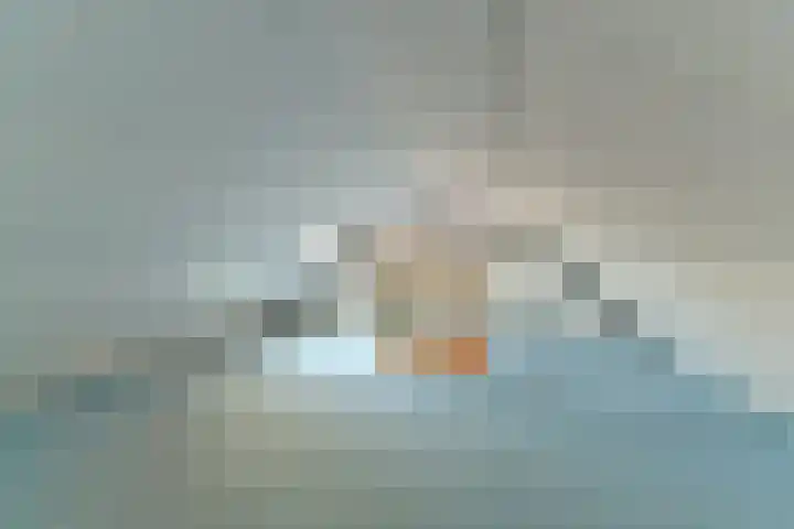 Vlechthout 14 Houten thumbnail 36