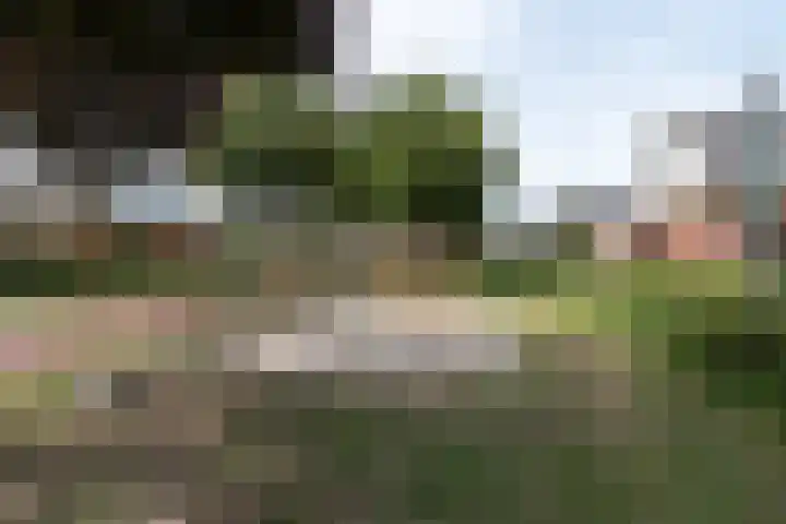 Vlechthout 14 Houten thumbnail 39