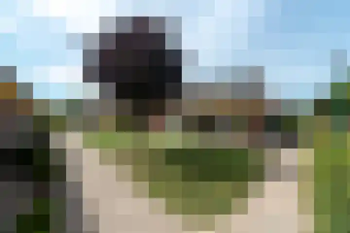 Vlechthout 14 Houten thumbnail 40