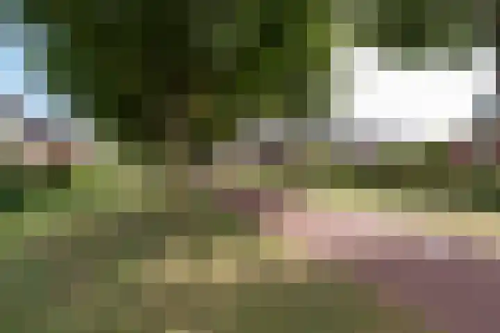 Vlechthout 14 Houten thumbnail 41