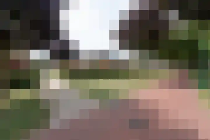 Vlechthout 14 Houten thumbnail 42