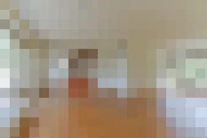 Vlechthout 14 Houten thumbnail 6