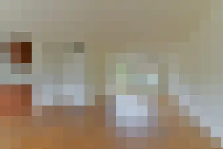 Vlechthout 14 Houten thumbnail 7