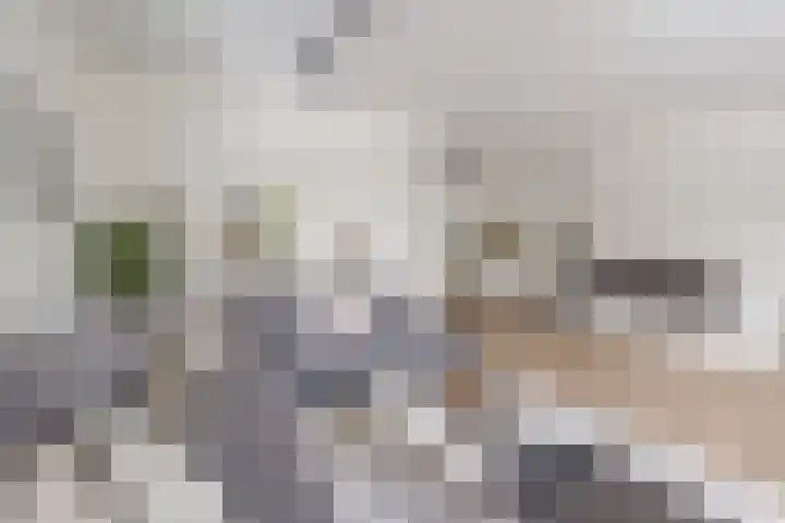Vlechtknoop 6 Almere thumbnail 15