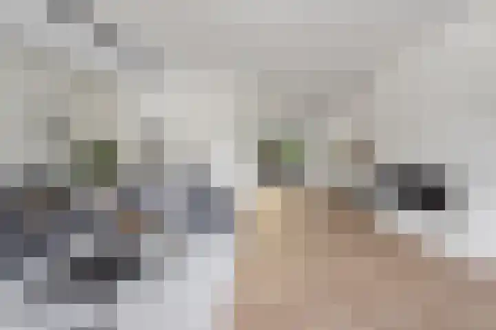 Vlechtknoop 6 Almere thumbnail 17