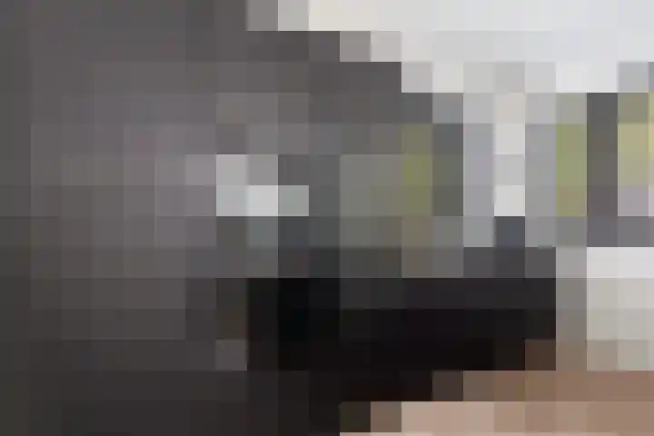 Vlechtknoop 6 Almere thumbnail 28