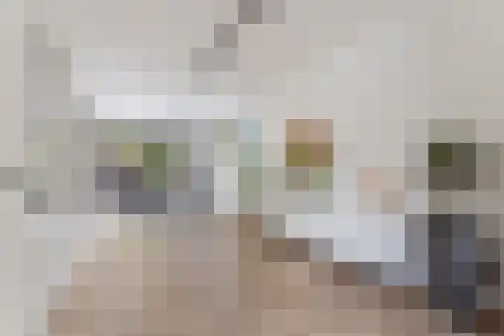 Vlechtknoop 6 Almere thumbnail 33
