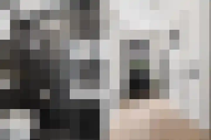 Vlechtknoop 6 Almere thumbnail 34