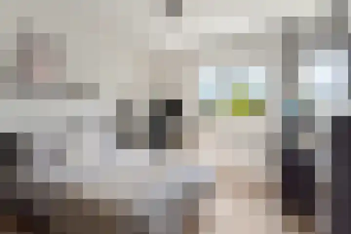 Vlechtknoop 6 Almere thumbnail 46