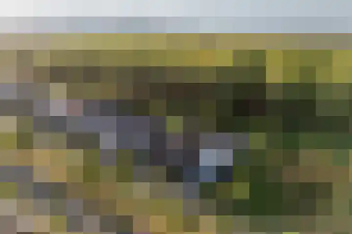 Vlechtknoop 6 Almere thumbnail 5