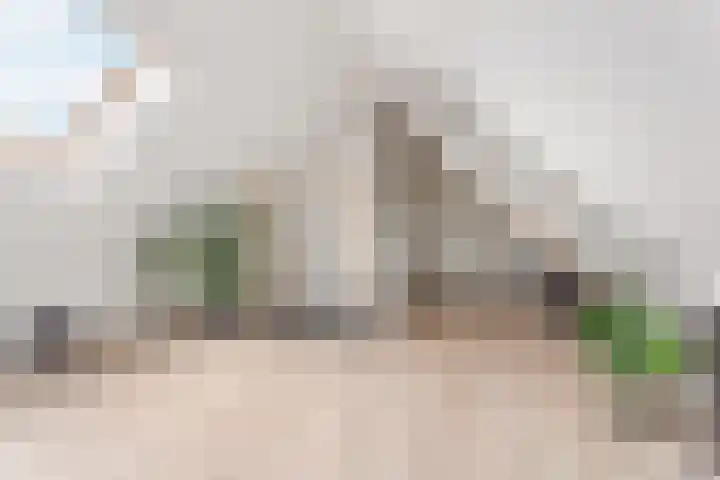 Vlechtknoop 6 Almere thumbnail 58