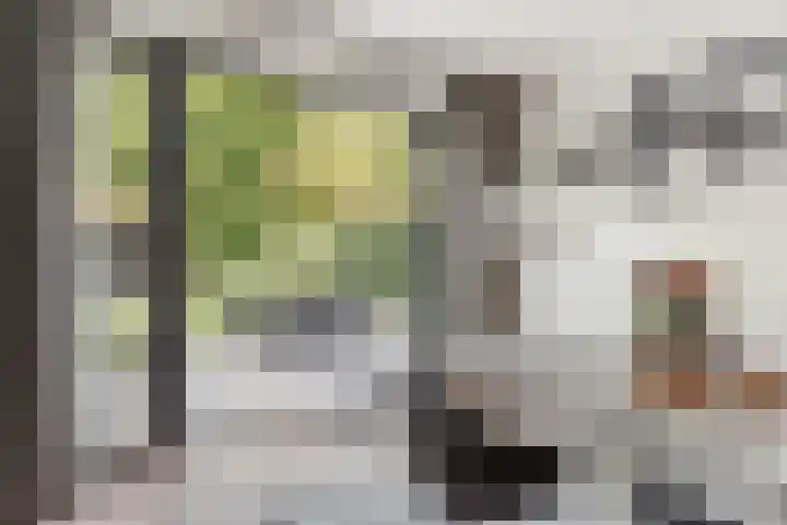 Vlechtknoop 6 Almere thumbnail 62