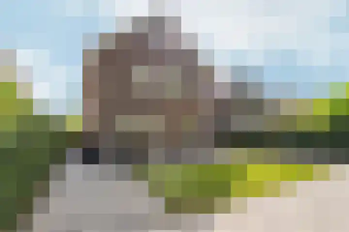 Vlechtknoop 6 Almere thumbnail 63