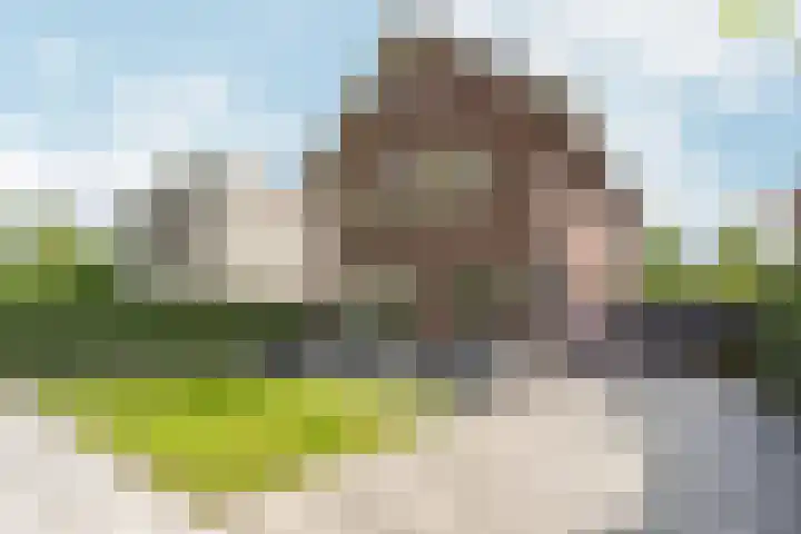 Vlechtknoop 6 Almere thumbnail 64