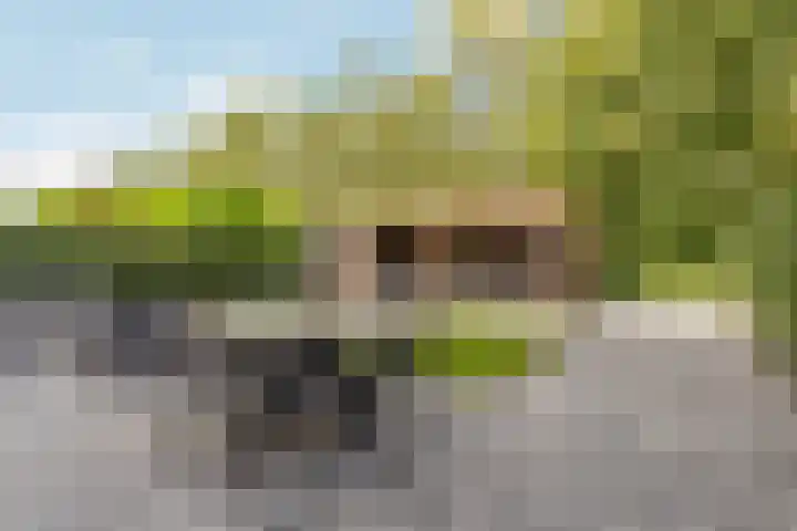 Vlechtknoop 6 Almere thumbnail 65