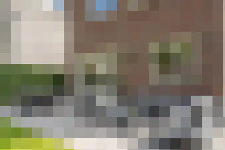 Vlechtknoop 6 Almere thumbnail 67