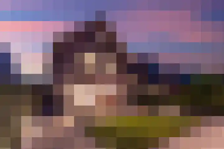 Vlechtknoop 6 Almere thumbnail 70