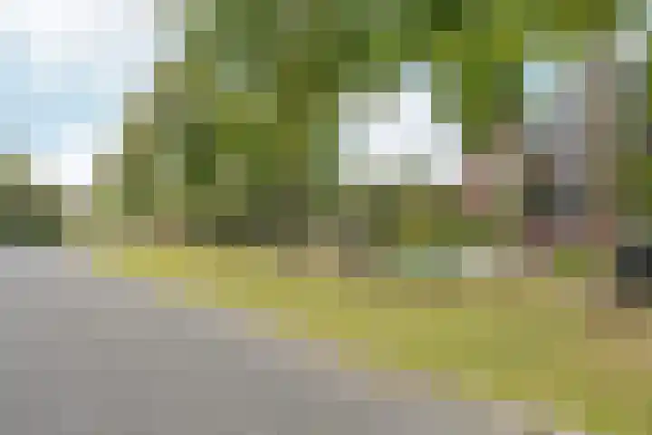 Vlechtknoop 6 Almere thumbnail 71