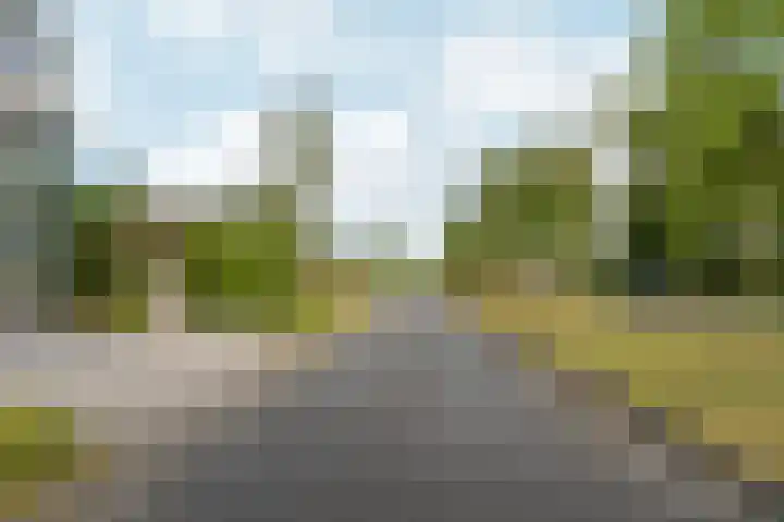 Vlechtknoop 6 Almere thumbnail 74