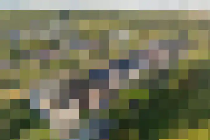 Vlechtknoop 6 Almere thumbnail 75